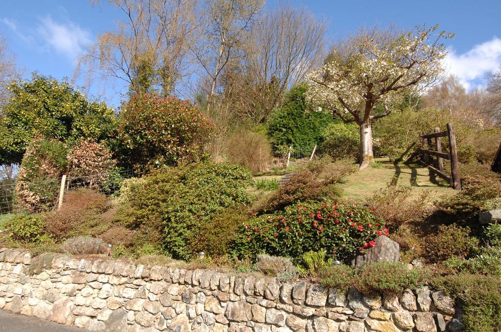 Hotel Dwy Olwyn Dolgellau Exteriér fotografie